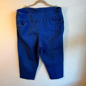 Alfred Dunner Dark Wash Denim Pull Up Stretch Pants Sz 18W